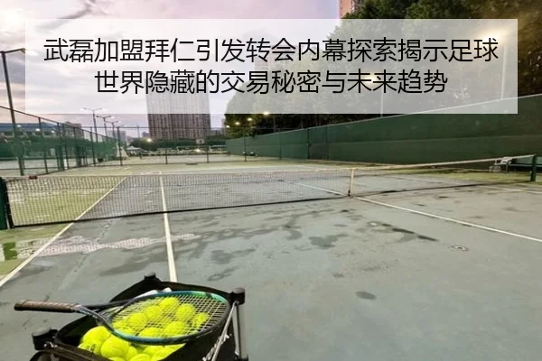 武磊加盟拜仁引发转会内幕探索揭示足球世界隐藏的交易秘密与未来趋势