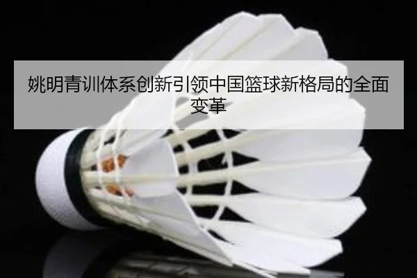 姚明青训体系创新引领中国篮球新格局的全面变革
