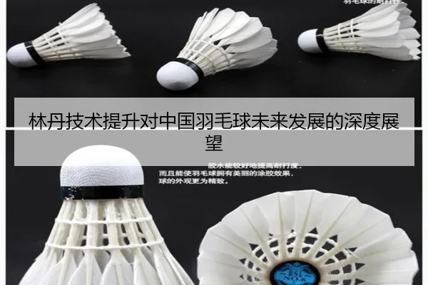 林丹技术提升对中国羽毛球未来发展的深度展望